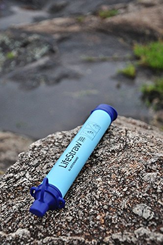 LifeStraw survival water filter