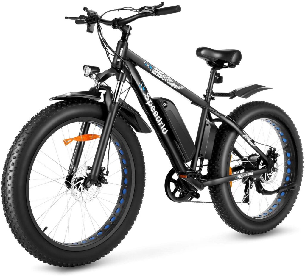 best ebike for adults and children